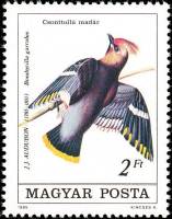 (1985-031) Марка Венгрия "Свиристель"    Птицы II Θ