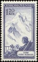 (1956-014) Марка Чехословакия "Вышне Ружбахи"    Чехословацкие Спа II Θ