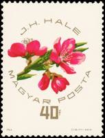 (1964-058) Марка Венгрия "Дж. Хейл"    Национальная выставка абрикосов в Сегеде II Θ