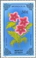 (1986-040) Марка Монголия "Гиосциамус"    Лекарственные растения III O