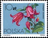 (1984-010) Марка Польша "Клематис техасский"    Вьющееся растение III Θ