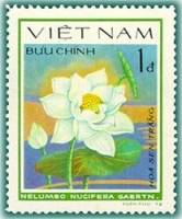 (1980-012a) Марка Вьетнам "Лотос орехоносный"  Без перфорации  Водяные цветы III O