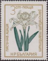 (1972-065) Марка Болгария "Панкраций морской"   Цветы под охраной II Θ