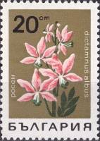 (1968-019) Марка Болгария "Ясенец"   Горные цветы II Θ