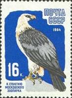 1964-079 Марка СССР Орёл-бородач Перф греб. (18 июня)   100 лет Московскому зоопарку III O