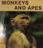 Книга Обезьяны 1985 , Лейпциг Твёрд обл + суперобл 240 с. С цв илл
