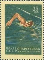 1956-059 Марка СССР Плавание   Спартакиада народов СССР III Θ