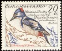 (1959-048) Марка Чехословакия "Дятел"    Птицы III O