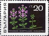 (1969-008) Марка Болгария "Чебрец (тимьян)"   Лекарственные растения II Θ