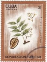 (1975-045) Марка Куба "Цедрела душистая"    Лесопосадки III Θ