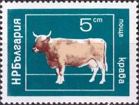 (1974-017) Марка Болгария "Корова"    Домашние животные II O