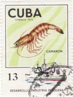 (1975-013) Марка Куба "Креветка"    Развитие рыбной промышленности III O