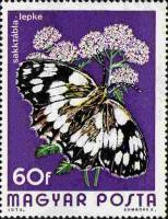 (1974-080) Марка Венгрия "Пестроглазка галатея"    Бабочки II Θ