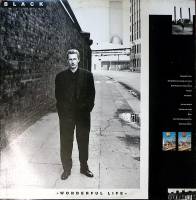 Пластинка виниловая , Wonderful life AM Records 300 мм. Excellent