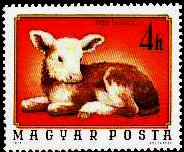 (1974-097) Марка Венгрия "Теленок"    Молодые домашние животные II Θ