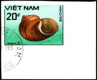 (1988-075a) Марка Вьетнам "Тюрбан из гобелена"  Без перфорации  Раковины молюсков III Θ
