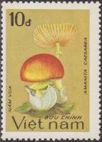 (1983-095) Марка Вьетнам "Цезарский гриб"    Грибы III Θ