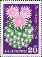 (1970-027) Марка Болгария "Необессия розоцветная"   Кактусы III Θ