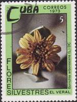 (1973-075) Марка Куба "Древовидная боррихия"    Полевые цветы III Θ