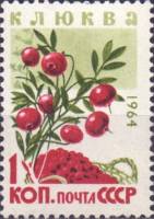 1964-169 Марка СССР Клюква   Ягоды II O