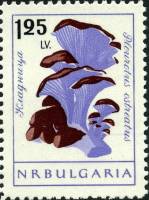 (1961-077) Марка Болгария "Вешенки"   Грибы (1) II Θ