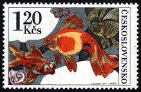(1975-028) Марка Чехословакия "Золотая рыбка "    Аквариумные рыбы III O
