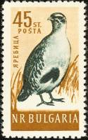 (1959-025) Марка Болгария "Куропатка серая"   Птицы I Θ