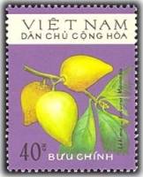 (1975-020) Марка Вьетнам "Сапота"   Фрукты III Θ