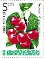 (1984-023) Марка Болгария "Черешня"   Фрукты II Θ