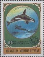(1980-072) Марка Монголия "Косатка"    Антарктические животные III Θ