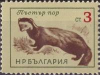 (1963-020) Марка Болгария "Хорёк-перевязка"   Дикие животные I Θ