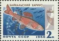 1966-092 Марка СССР Хариус   Промысловые рыбы Байкала III Θ