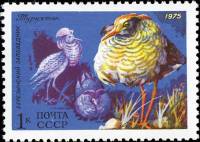 1975-072 Марка СССР Турухтан  Фауна III Θ