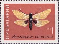 (1964-027) Марка Болгария "Аскалаф"   Насекомые III Θ