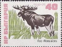 (1973-044) Марка Болгария "Лось"    Редкие животные (млекопитающие) III Θ
