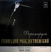 Пластинка виниловая , Жизнь героя (Г. Рождественский) Мелодия 300 мм. Excellent