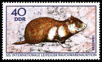 (1970-011) Марка Германия (ГДР) "Хомяк"    Выставка меха III O
