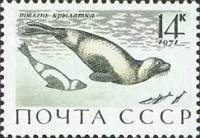 1971-077 Марка СССР Тюлень-крылатка   Млекопитающие - обитатели морей и океанов III O
