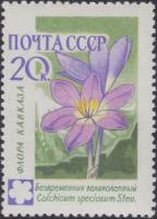 1960-105 Марка СССР Безвременник великолепный   Флора III Θ