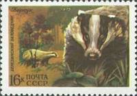 1975-076 Марка СССР Барсук  Фауна III Θ