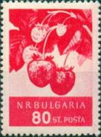 (1956-015) Марка Болгария "Земляника"   Фрукты (2) III O