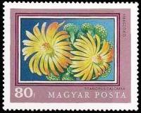 (1971-052) Марка Венгрия "Титанопсис"    200-летие Ботанического сада Университета Будапешта II Θ