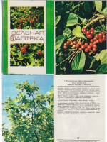 Набор открыток "Зеленая аптека", 22 шт., 1983 г.