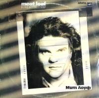 Пластинка виниловая , День казни Мелодия 300 мм. (Сост. отл.)