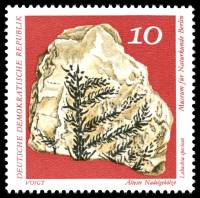 (1973-008) Марка Германия (ГДР) "Лебахия прекрасна"    Музей истории III O