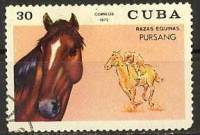 (1972-046) Марка Куба "Пурсанг"    Лошади III Θ