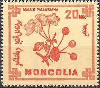 (1968-012) Марка Монголия "Яблоня ягодная"    Ягоды III Θ