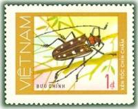 (1977-025a) Марка Вьетнам "Девятиточечный усач"  Без перфорации  Жуки III Θ
