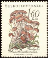 (1958-048) Марка Чехословакия "Опята "    Грибы III Θ