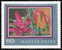 (1971-051) Марка Венгрия "Бромелия"    200-летие Ботанического сада Университета Будапешта II Θ